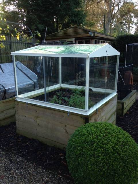 cold frame dec 14